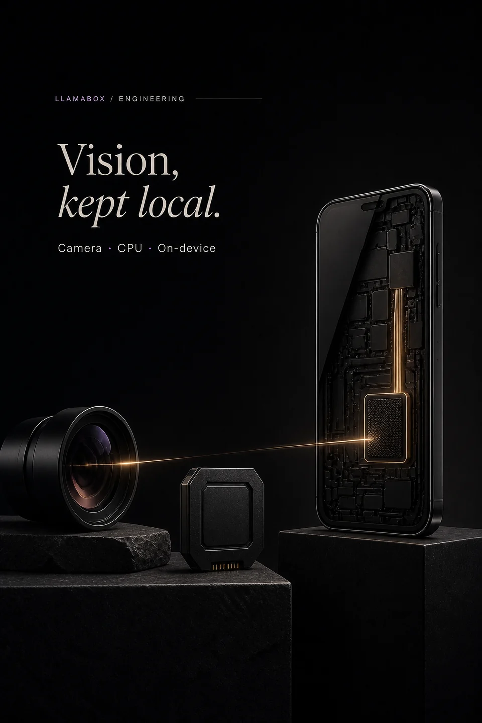 A lens and processor connect directly to a phone for local visual processing.